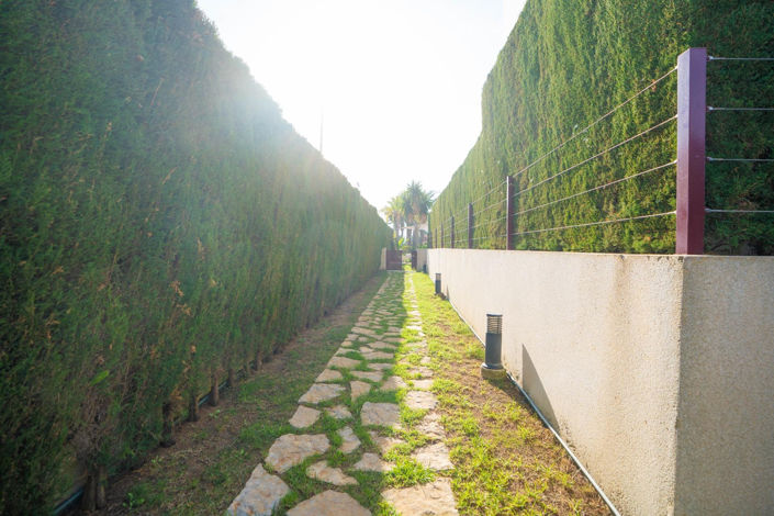 Image No.25-4 Bed Penthouse for sale