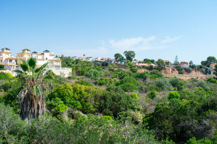 Image No.3-Appartement de 2 chambres à vendre à Orihuela