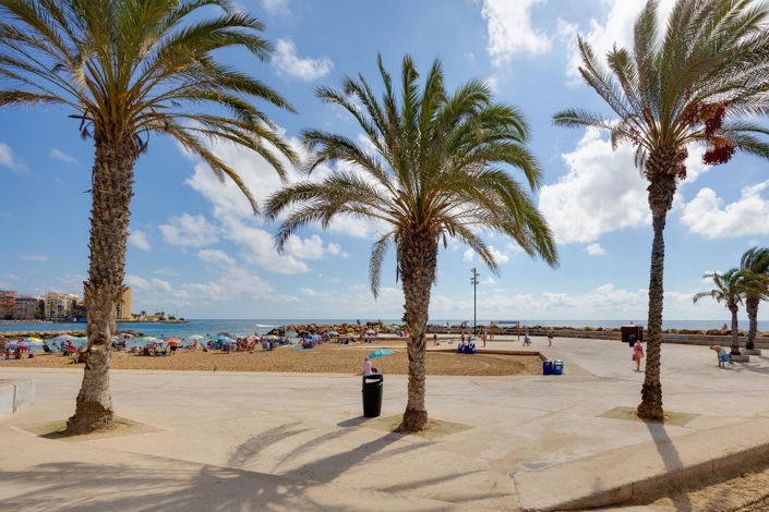 Image No.37-Appartement de 3 chambres à vendre à Torrevieja