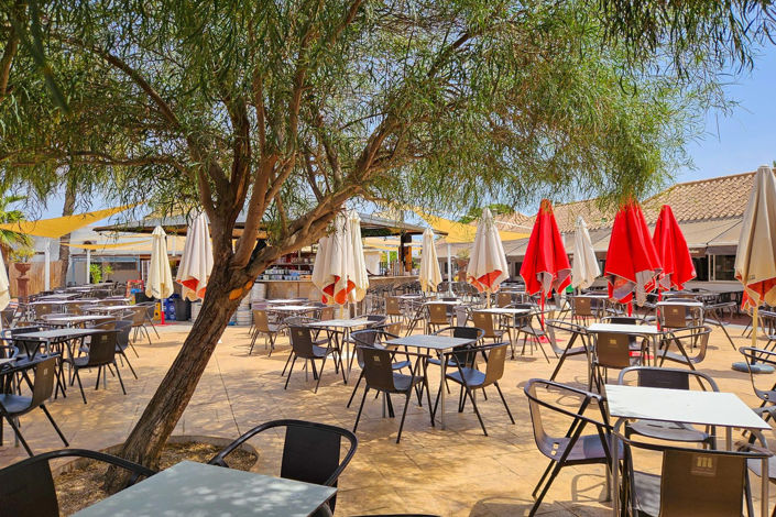 Image No.33-Maison de 2 chambres à vendre à Torrevieja