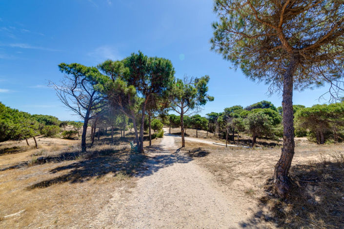 Image No.43-Appartement de 2 chambres à vendre à Guardamar del Segura