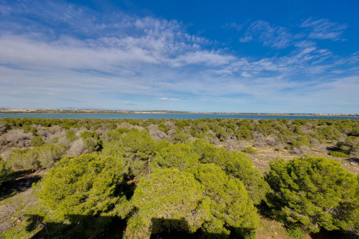 Image No.36-Appartement de 3 chambres à vendre à Torrevieja