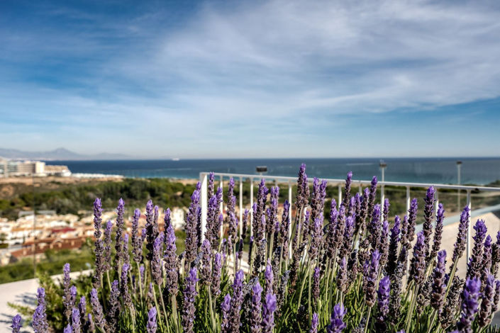 Image No.27-Penthouse de 3 chambres à vendre à Santa Pola