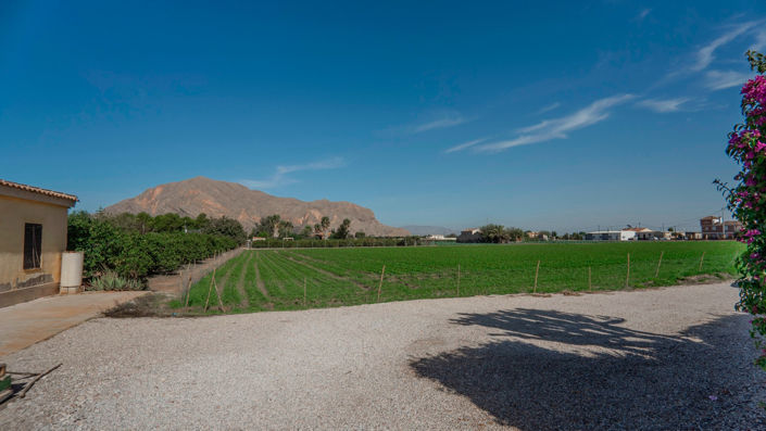 Image No.37-3 Bed House for sale