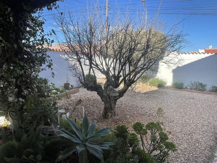 Image No.26-5 Bed House for sale