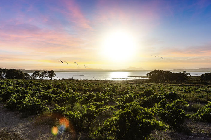 Image No.48-Maison de 4 chambres à vendre à Rojales