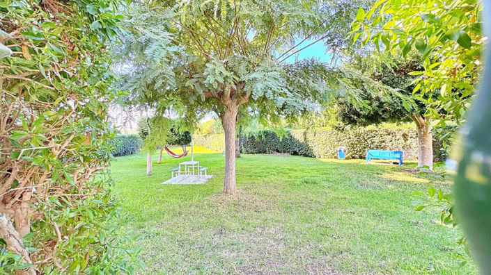 Image No.40-Appartement de 1 chambre à vendre à Torrevieja