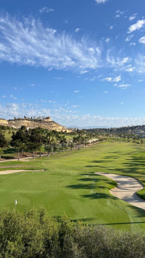 Image No.40-Maison de 5 chambres à vendre à Rojales