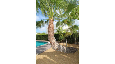 8-e64a9055bba3e77ac8aca3b893cdf826