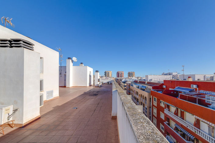 Image No.48-Appartement de 3 chambres à vendre à Torrevieja