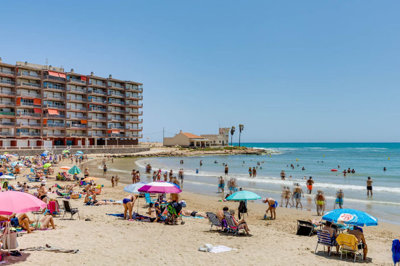 8-e64a9055bba3e77ac8aca3b893cdf826