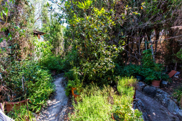 Image No.9-4 Bed House for sale