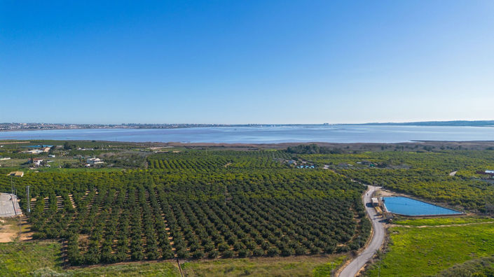 Image No.38-Appartement de 3 chambres à vendre à Los Montesinos