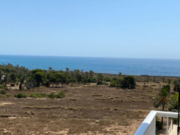 1-7980e48d732b6fc85c14b43b94d2aa54