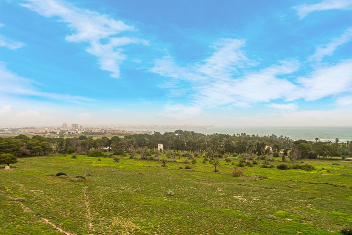 Image No.3-Appartement de 2 chambres à vendre à Orihuela