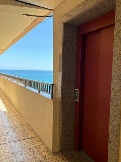 Image No.13-Appartement de 1 chambre à vendre à Torrevieja