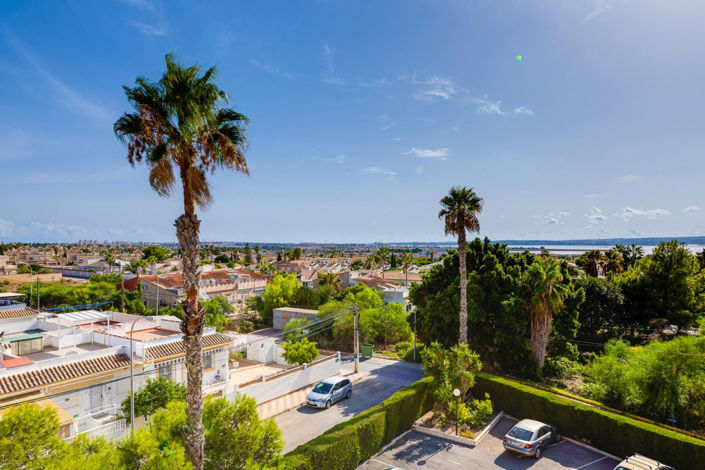 Image No.4-Appartement de 3 chambres à vendre à Torrevieja