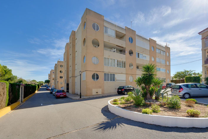 Image No.40-Appartement de 3 chambres à vendre à Torrevieja