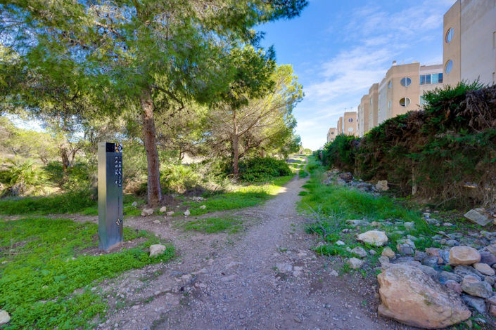 Image No.41-Appartement de 3 chambres à vendre à Torrevieja