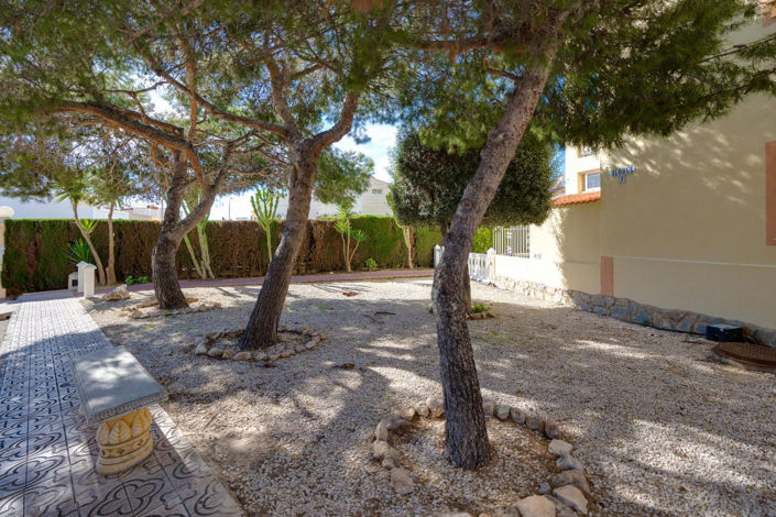 Image No.45-Appartement de 3 chambres à vendre à Torrevieja