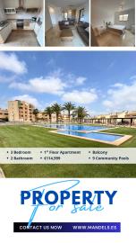 Photo-10-11-2025--10-53-39