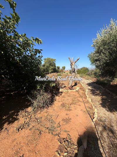 Image No.19-3 Bed Finca for sale