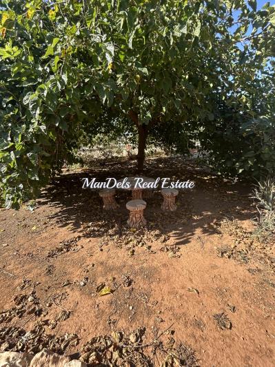 Image No.25-3 Bed Finca for sale