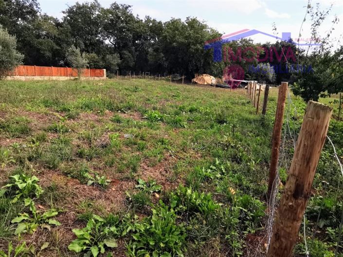 Image No.11-Plot for sale