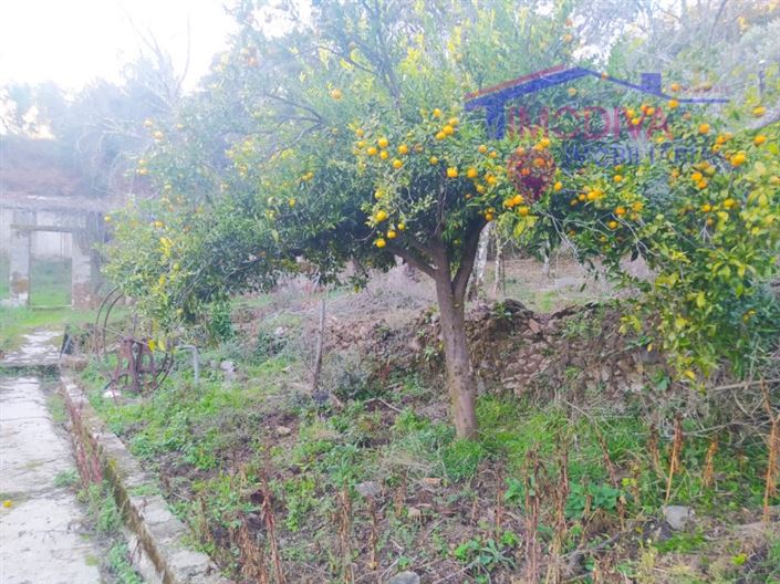 Image No.28-3 Bed House for sale