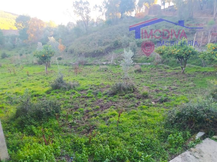 Image No.33-3 Bed House for sale