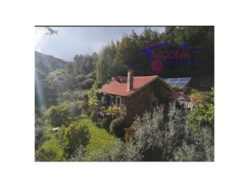 1 - Castanheira de Pêra, Ferme