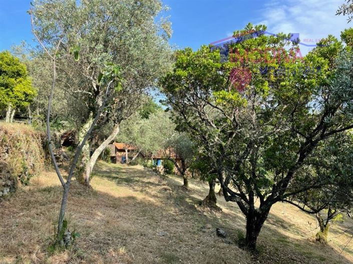 Image No.34-5 Bed Farmhouse for sale