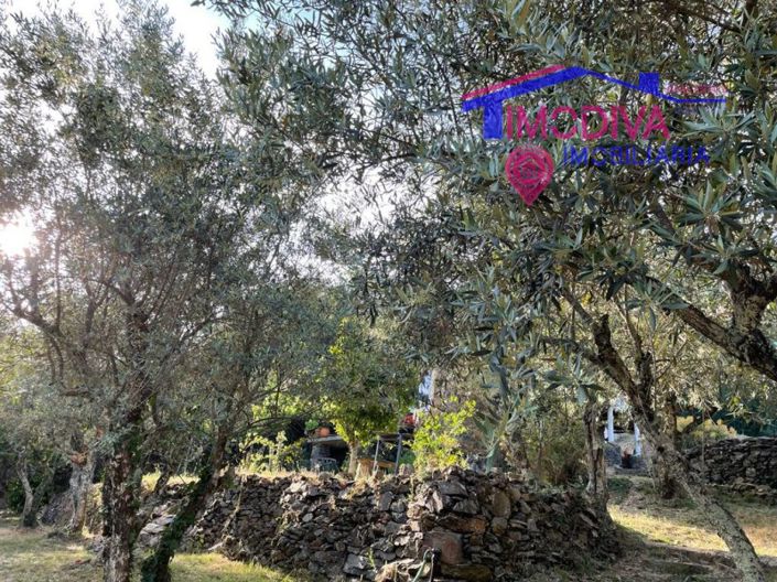 Image No.35-5 Bed Farmhouse for sale