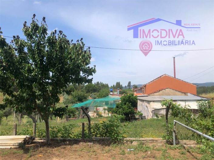 Image No.19-6 Bed House for sale