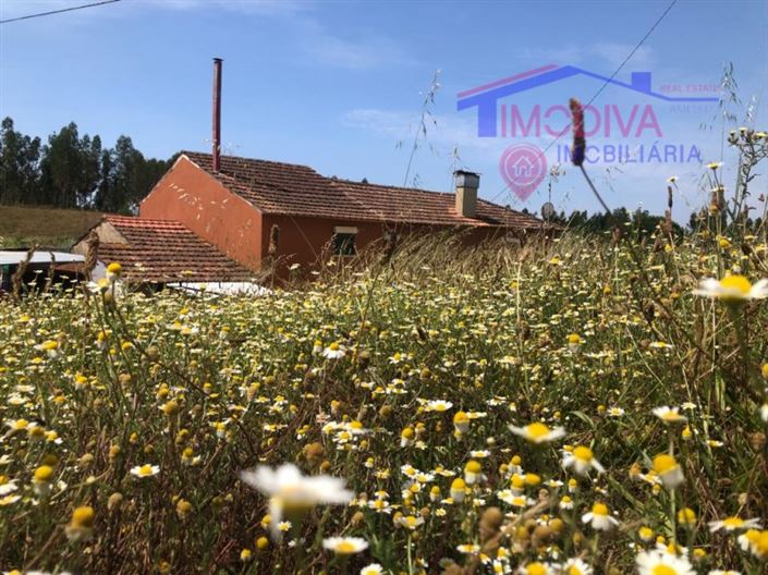 Image No.3-6 Bed House for sale