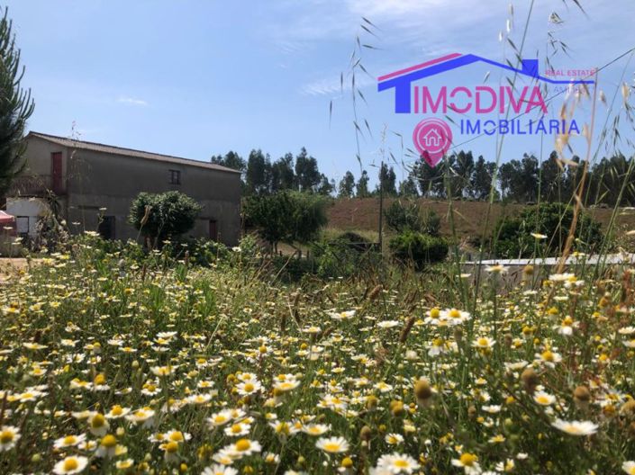 Image No.28-6 Bed House for sale