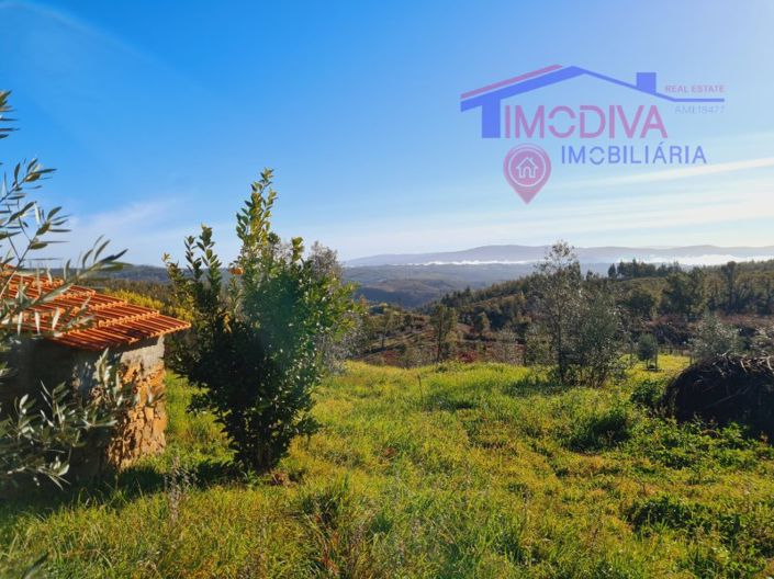 Image No.4-House for sale