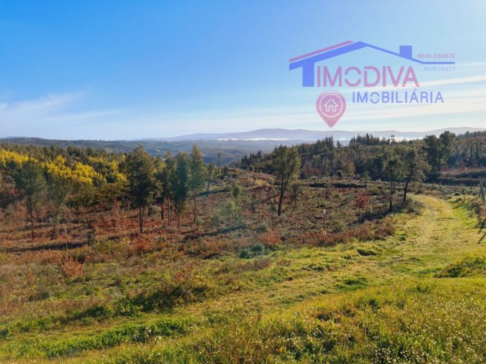 Image No.6-House for sale