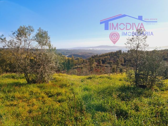 Image No.7-House for sale