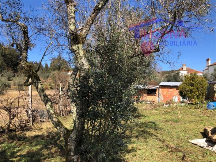 Image No.35-5 Bed House for sale