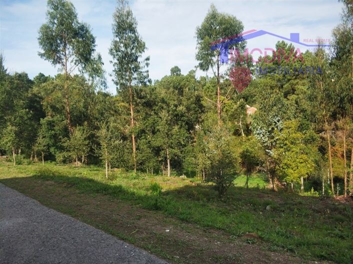 Image No.2-Plot for sale