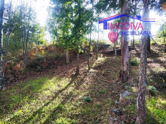 Image No.1-Plot for sale