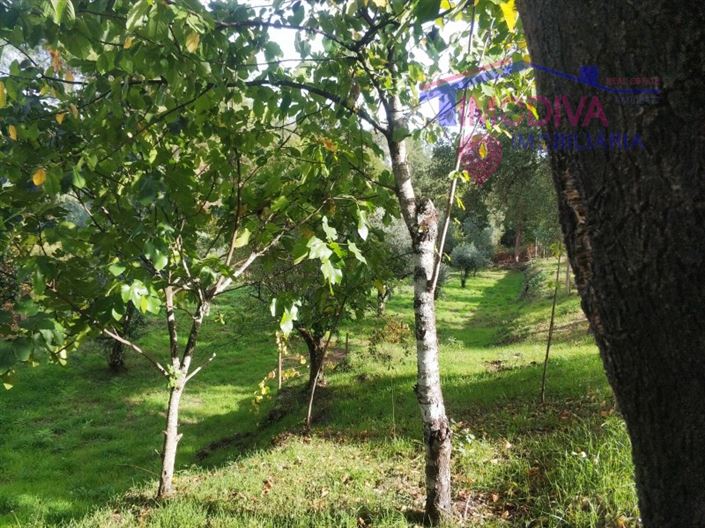 Image No.12-Plot for sale