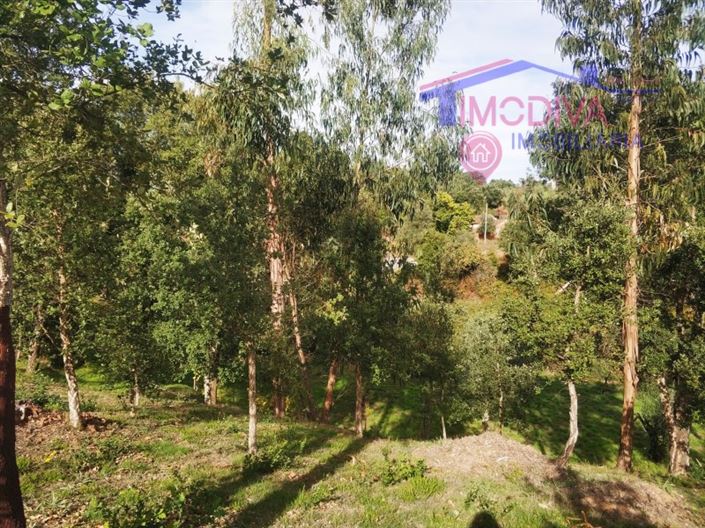 Image No.14-Plot for sale