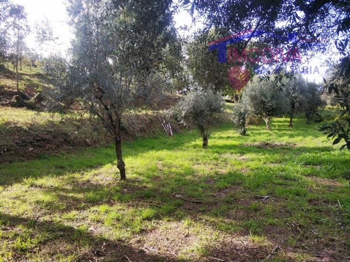 Image No.6-Plot for sale