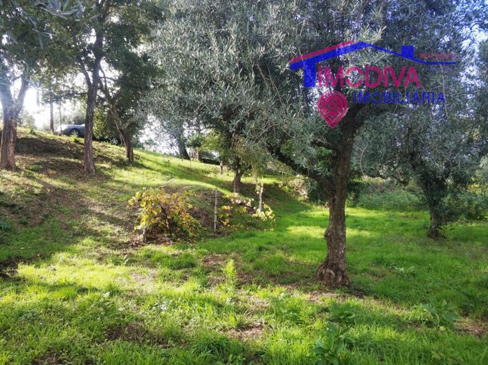 Image No.4-Plot for sale