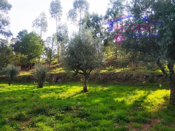 Image No.3-Plot for sale