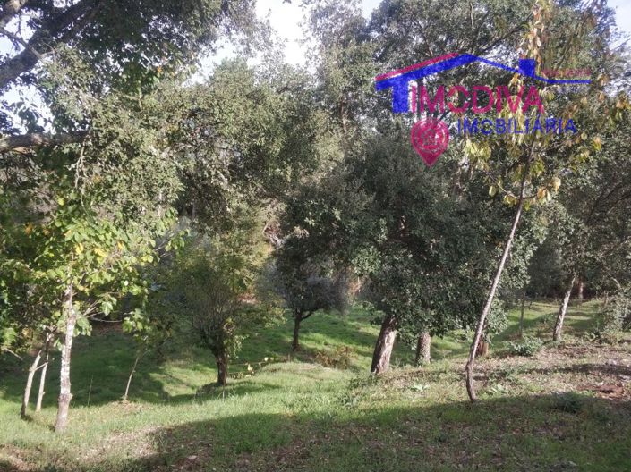 Image No.8-Plot for sale