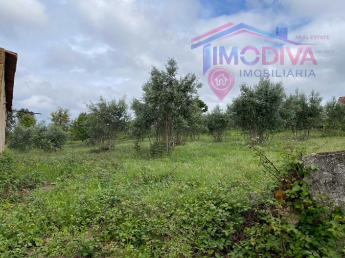 Image No.30-Plot for sale