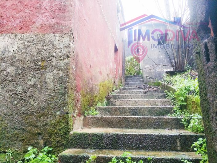 Image No.4-Maison de 3 chambres à vendre à Figueiró dos Vinhos